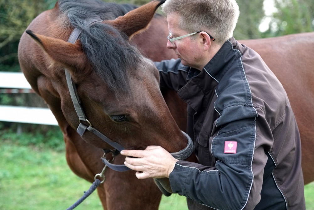 Pferdeosteopath Karsten Gemmeker bei der Untersuchung eines Pferds